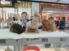 -万达广场(北京槐房店)