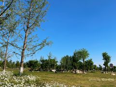 -汉长安城未央宫国家考古遗址公园