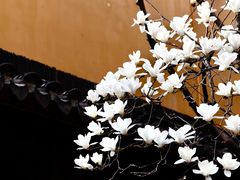 -龙华寺