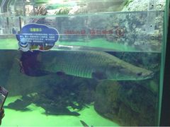 upload_pic-常州海昌海洋探索馆