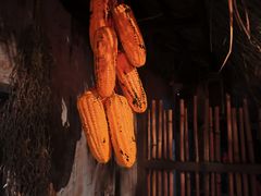 -明日世界密室轰趴·剧本桌游·箭馆团建(国贸店)