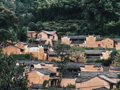 -杨家堂村
