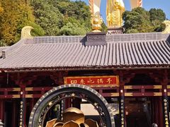 -庐山风景名胜区-东林大佛