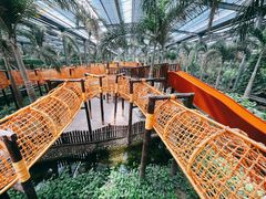 -呀路古热带植物园