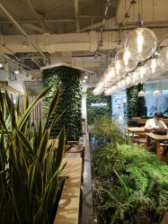 -悦诗风吟innisfree