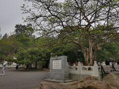 -潭柘寺景区