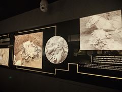 -秦始皇帝陵博物院-丽山园