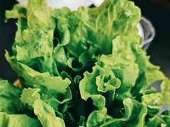 -燚青春东北泥炉烤肉(百合店)