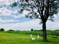 -汉长安城未央宫国家考古遗址公园