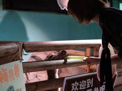 -正佳雨林生态植物园