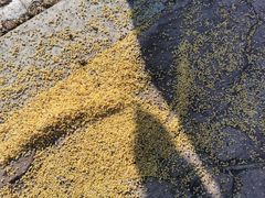 -长春公园(普阳街道)