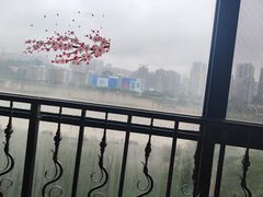 -李子坝梁山鸡(李子坝大鸡哥店)