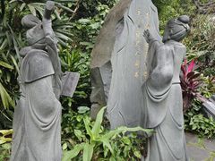 -南山植物园