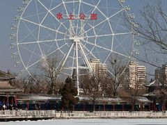 -天津水上公园