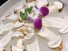 松茸菌-云中鱼蒸汽石锅鱼(浦东食品城店)