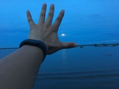 -洞里萨湖
