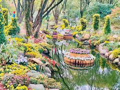 -上海共青森林公园