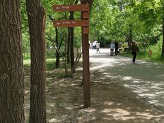 -廊坊市自然公园