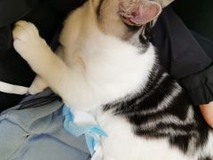 -美联众合24小时·皮肤科·外科·全科诊疗中心(华苑分院)