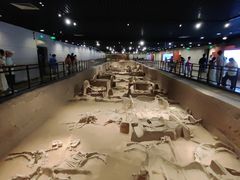 -洛阳周王城天子驾六博物馆