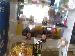 -柴犬高等学院·狗咖·柴犬售卖·宠物训练