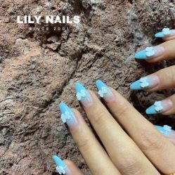 -LILY NAILS美甲美睫