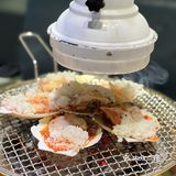 我的城市美食清单｜哈尔滨最新入库美食[爱心]