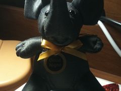 御庭小象，虽然很多人说像老鼠-御庭精品酒店(秦淮河店)