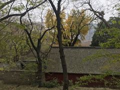 -皇藏峪国家森林公园