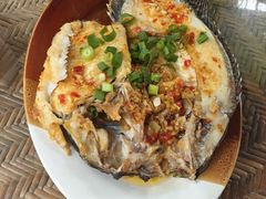 -晓雯人家