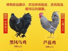 -德州凤冠假日酒店