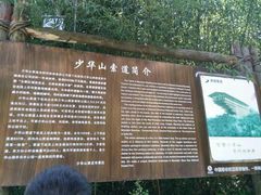 -少华山国家森林公园