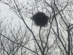 -盘龙城国家考古遗址公园