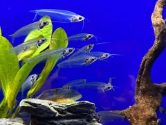 -上海海洋水族馆