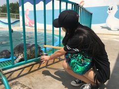 -北戴河圣蓝海洋公园