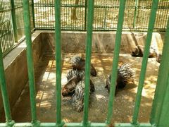 -广东茂名森林公园