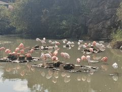 -宁波野生动物园