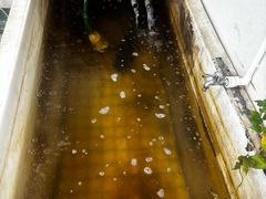 -清真长山屯泉水灶台鱼(佳庆道店)