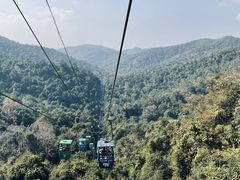 -野象谷景区