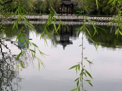 -八一公园