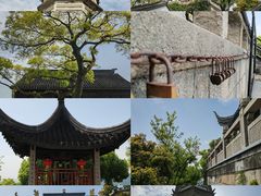 -苏州上方山国家森林公园