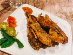 -领航美食音乐餐吧