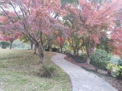 -昆山城市生态森林公园