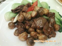 -稻香酒家·33年老字号·港式粤菜(富邦中心店)