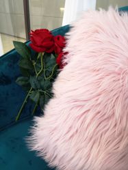 -La Rose·轻奢皮肤管理