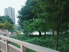 -广东花都湖国家湿地公园