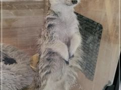 -平行世界·猫咖(首经贸店)