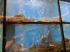 -珍宝海鲜JUMBO Seafood(尚嘉店)