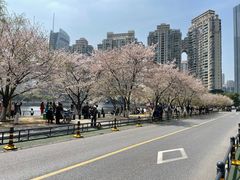 -西北湖绿化广场