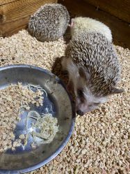 -酷嗒动物文化乐园(cutezoo西溪乐天城店)